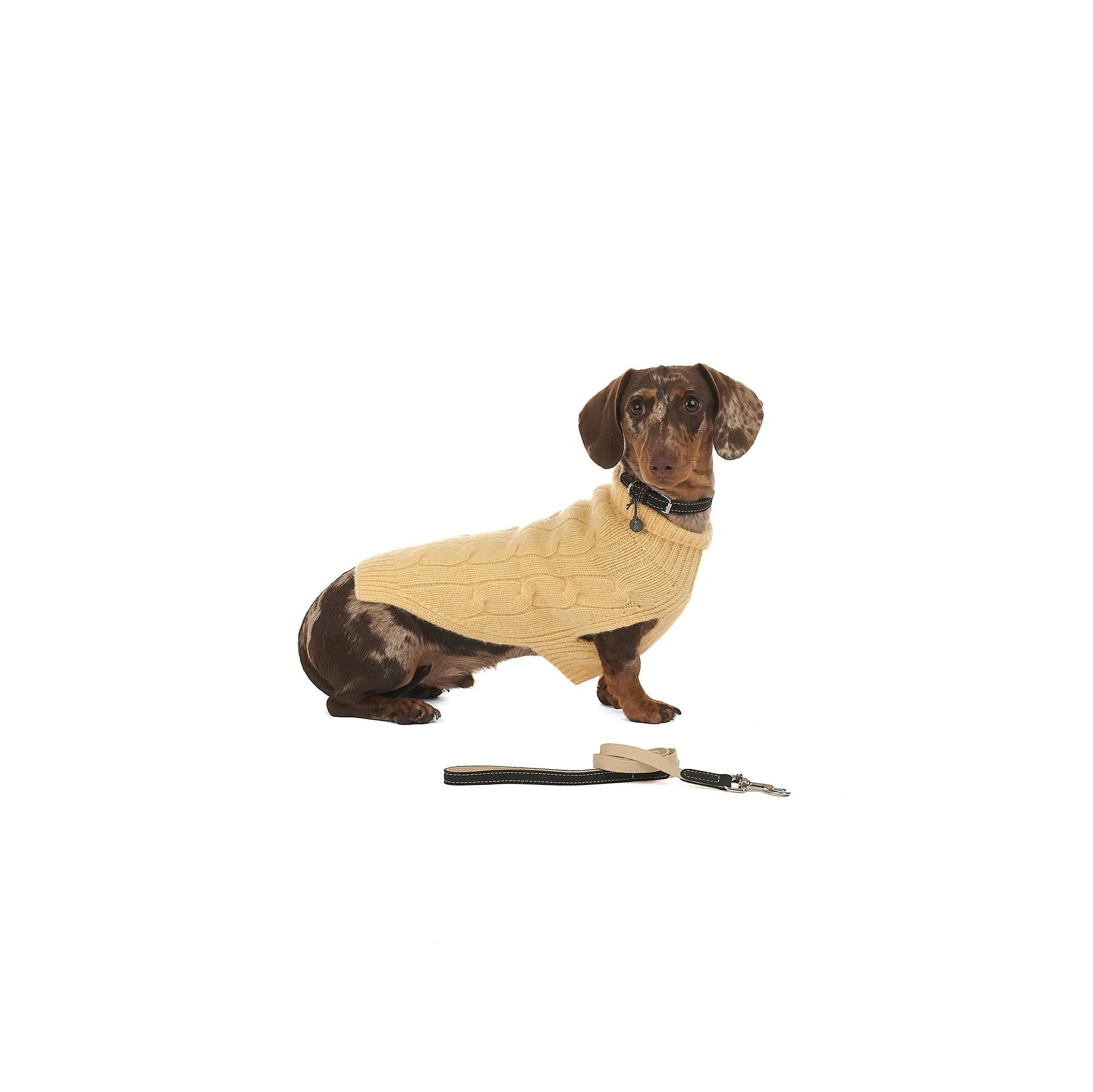 Baseball Dog Collar