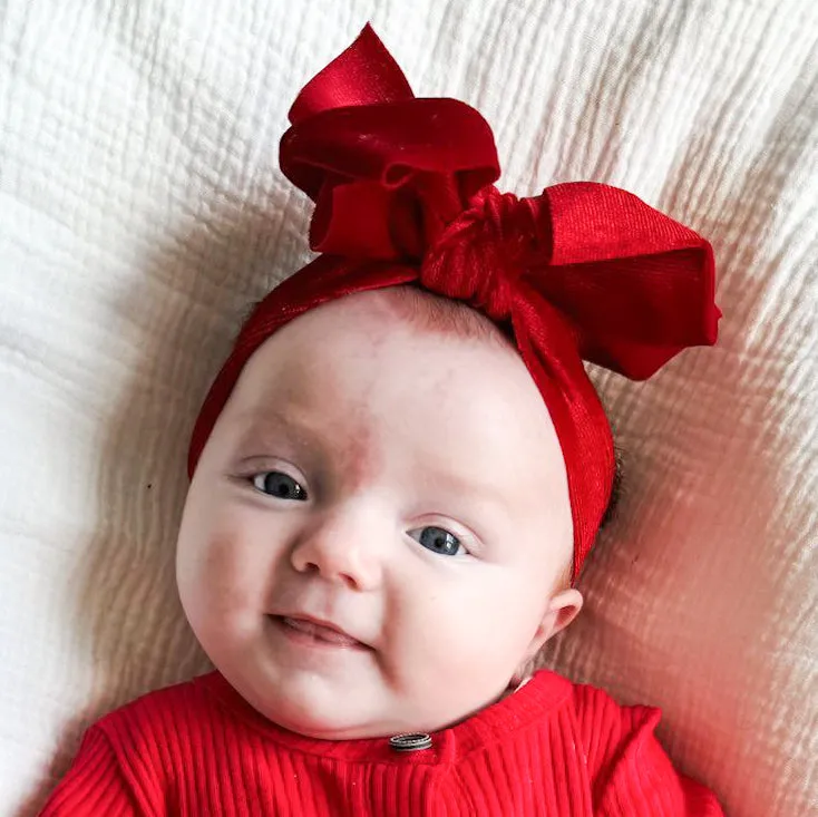 Christmas Velvet Bows Box