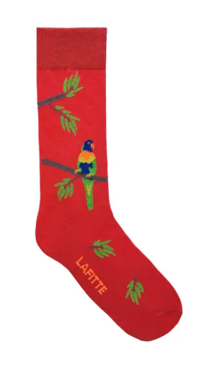 Lorikeet Socks